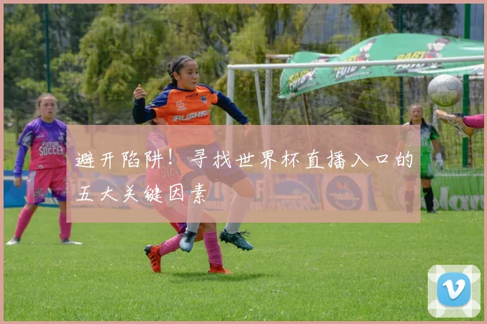 避开陷阱！寻找世界杯直播入口的五大关键因素